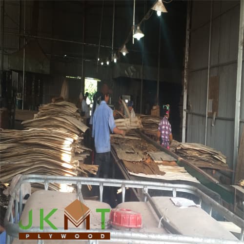 Plywood suppliers selling cheap price